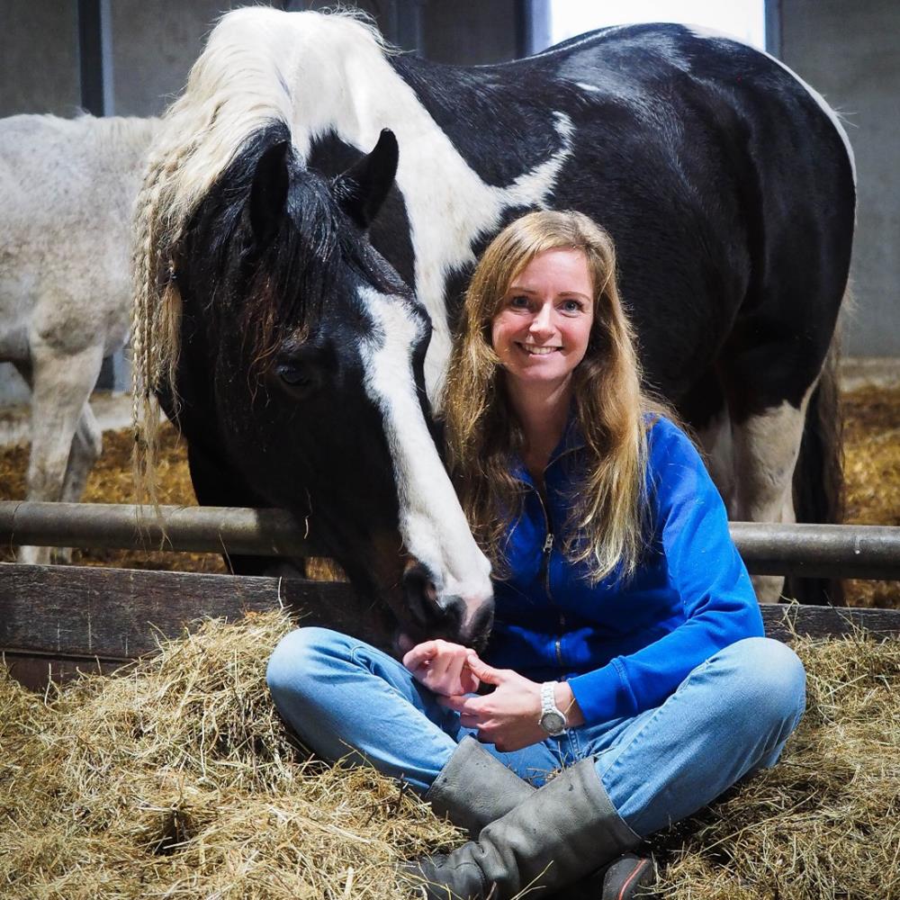 mirjam-hogerwerf-paardenbso1